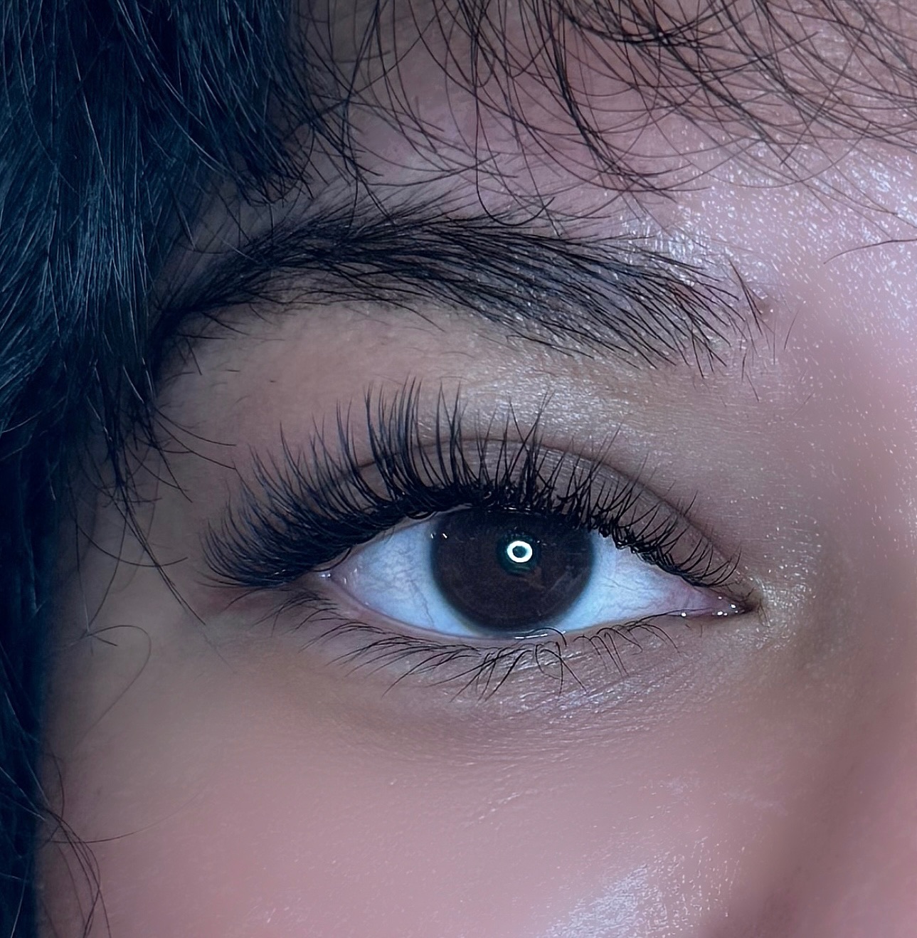 Volume lash extensions close-up at Portland lash studio