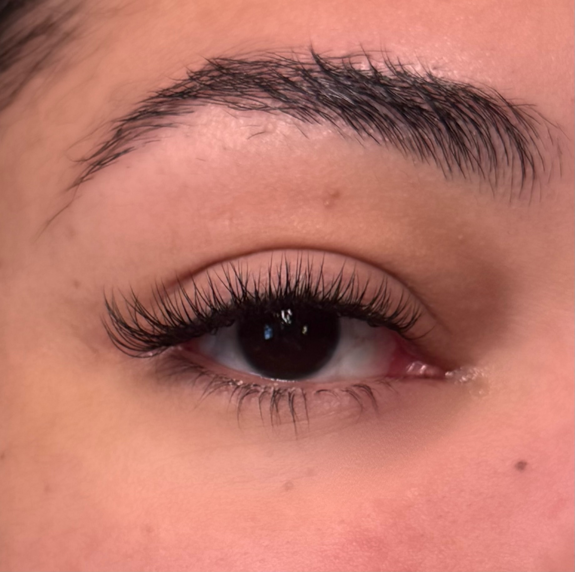Hybrid lash extension results in Nob Hill Portland