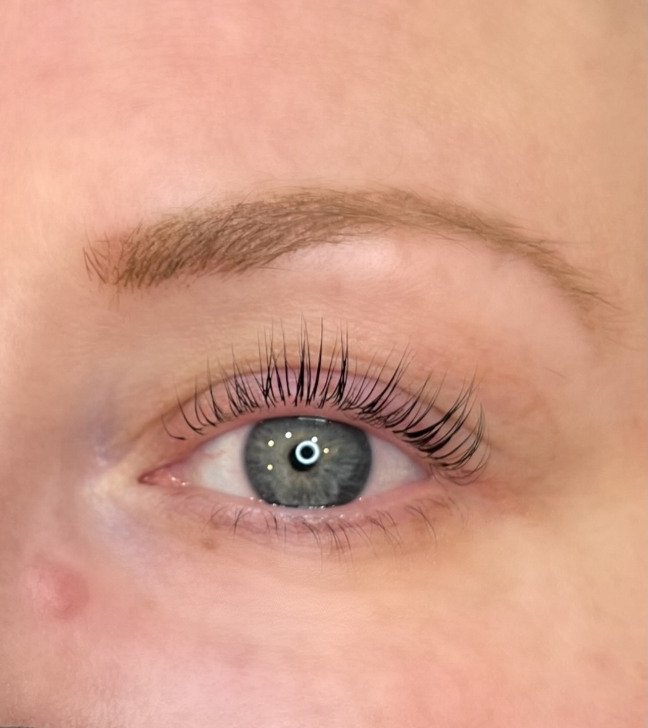 Lash extension and brow work at Beauty Sleep Studio Portland